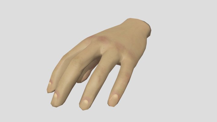 Hand Texture 3D Model