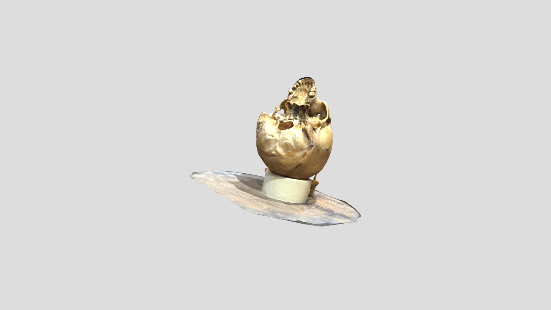 Череп 3 scull - 3D model by Sculpt Art (@sculpt_art) [7a641df] - Sketchfab