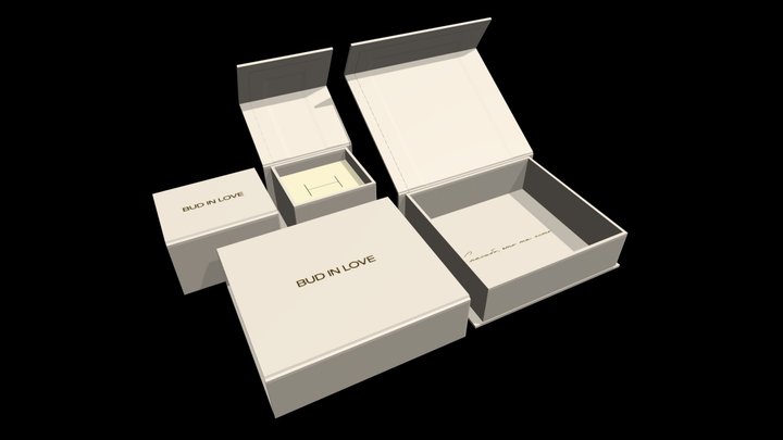 BUD IN LOVE GIFT BOX VISUALIZATION 3D Model