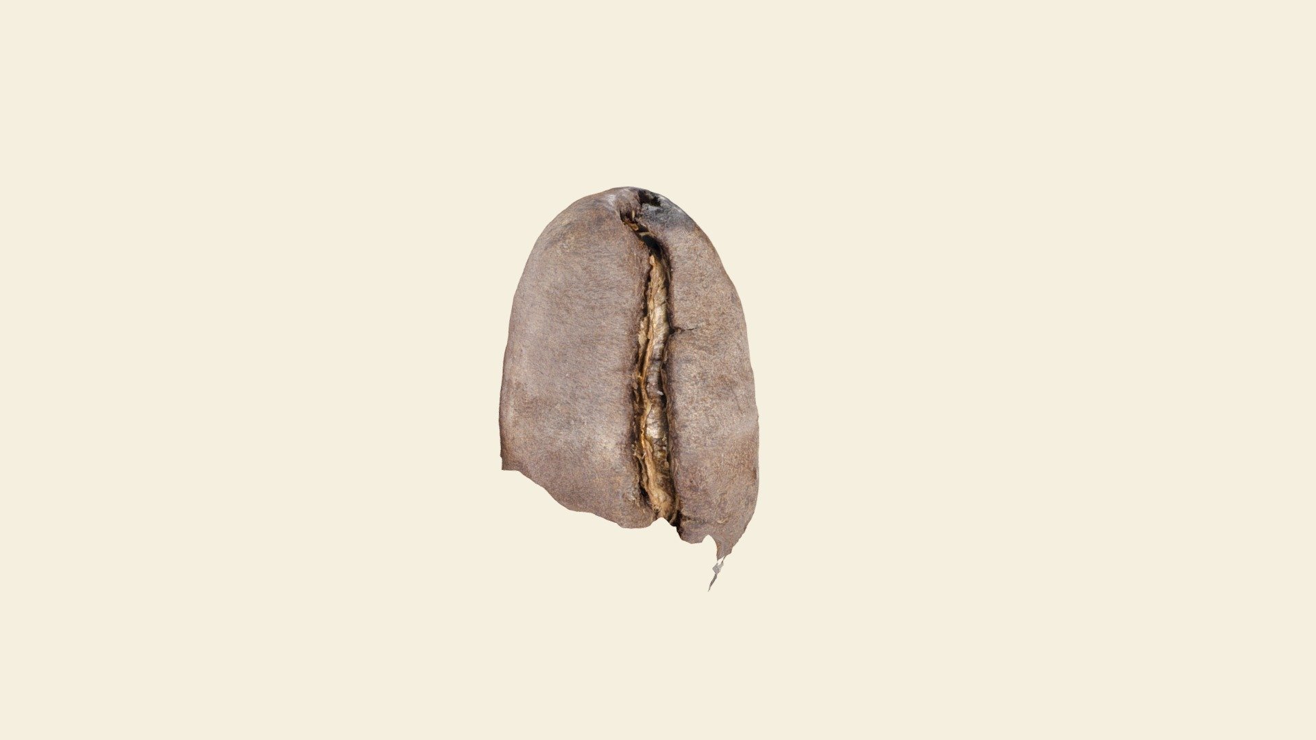 Coffee Bean