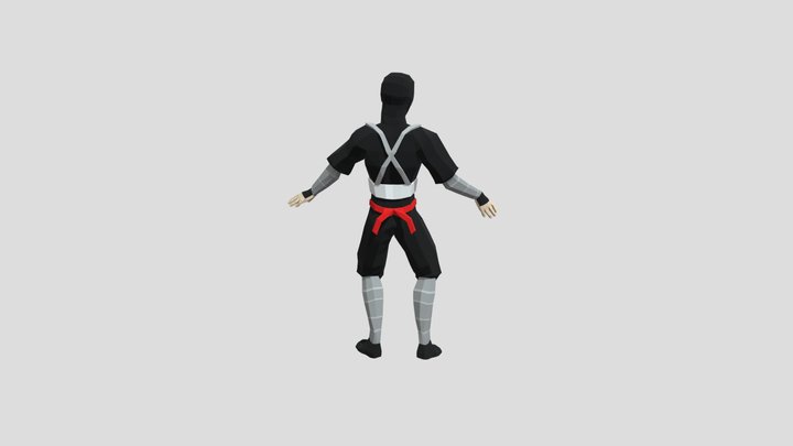 NINJAFINAL 3D Model