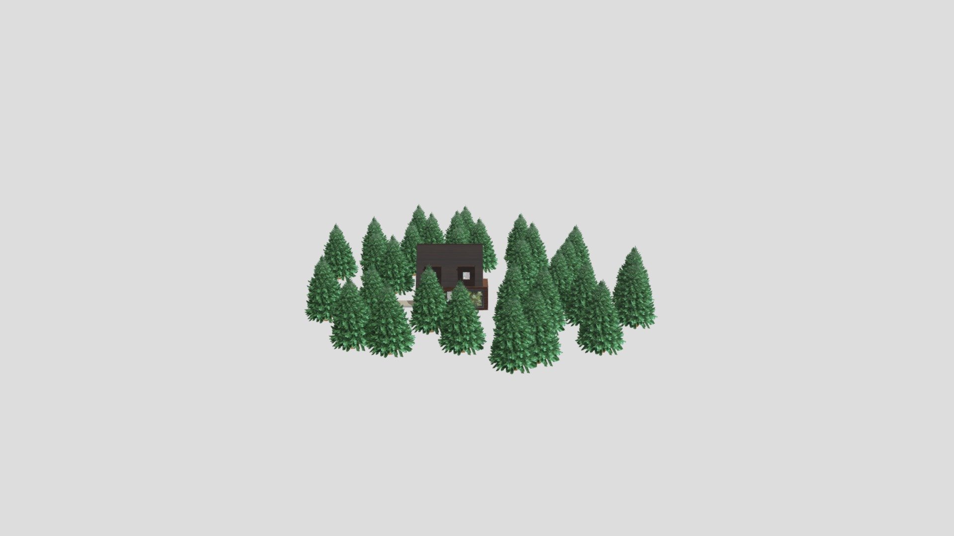 Tiny House 3, in the woods