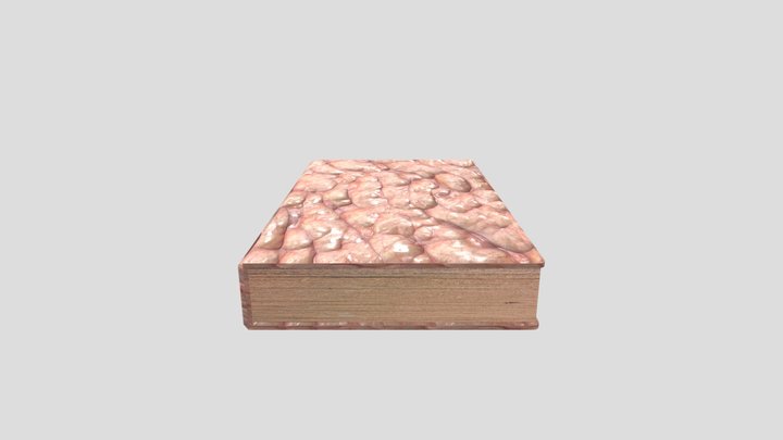 Flesh Bound Book 3D Model