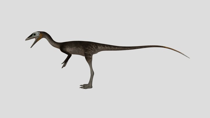 Compsognathus Accurate Rigged 3D Model