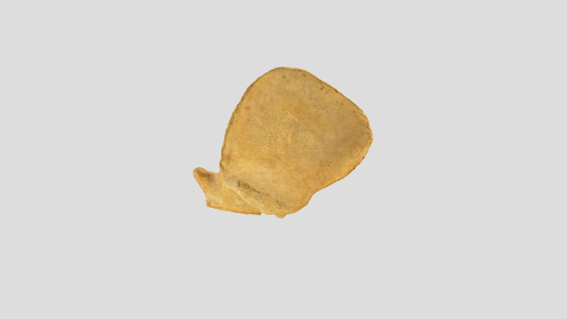 Ben 7