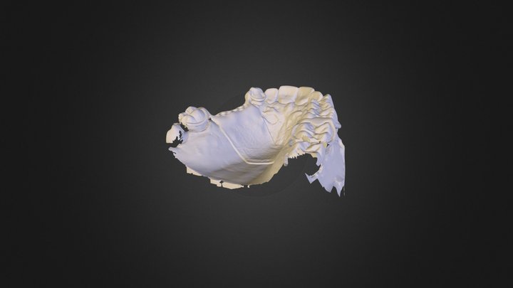 Ok Modellguss 3D Model