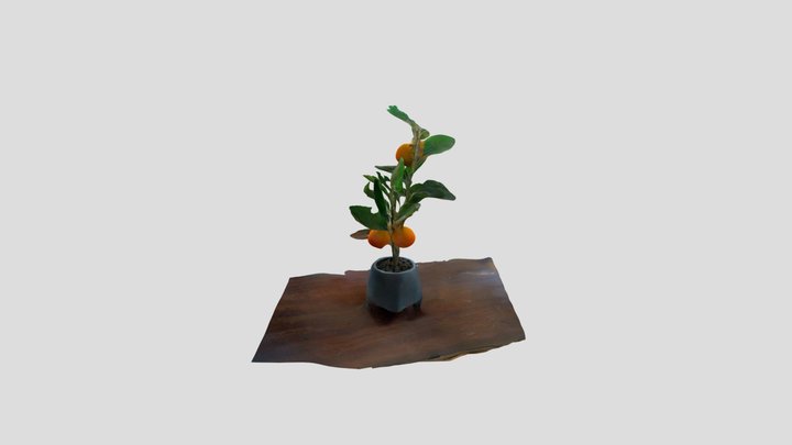 2_26 part 3 3D Model
