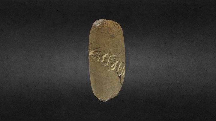Sigmoidal Veins 3D Model