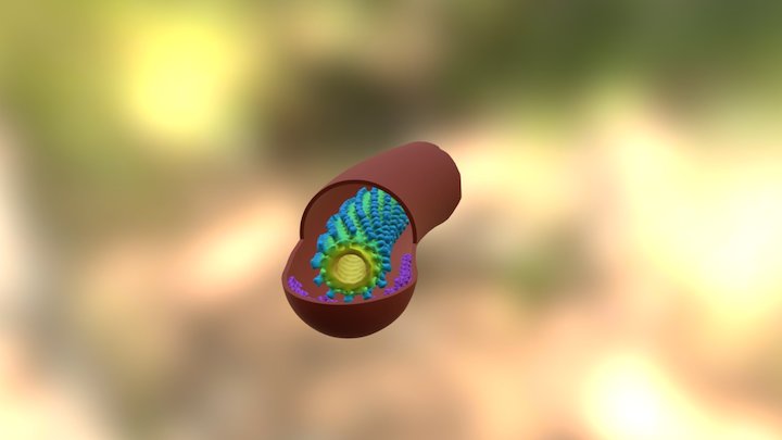 Ebola 9 3D Model