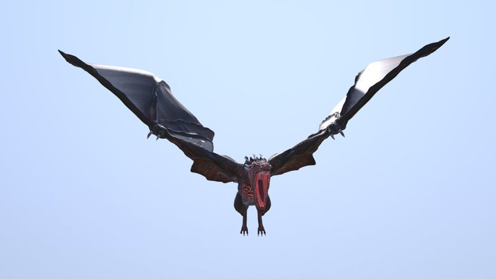 Dragon Flying Cycle Animation 3D Model