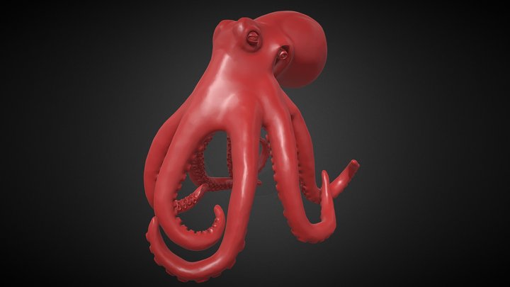 Realistic Octopus V5 3D Model