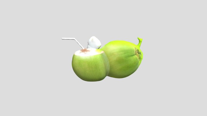 Coconut 3D Model