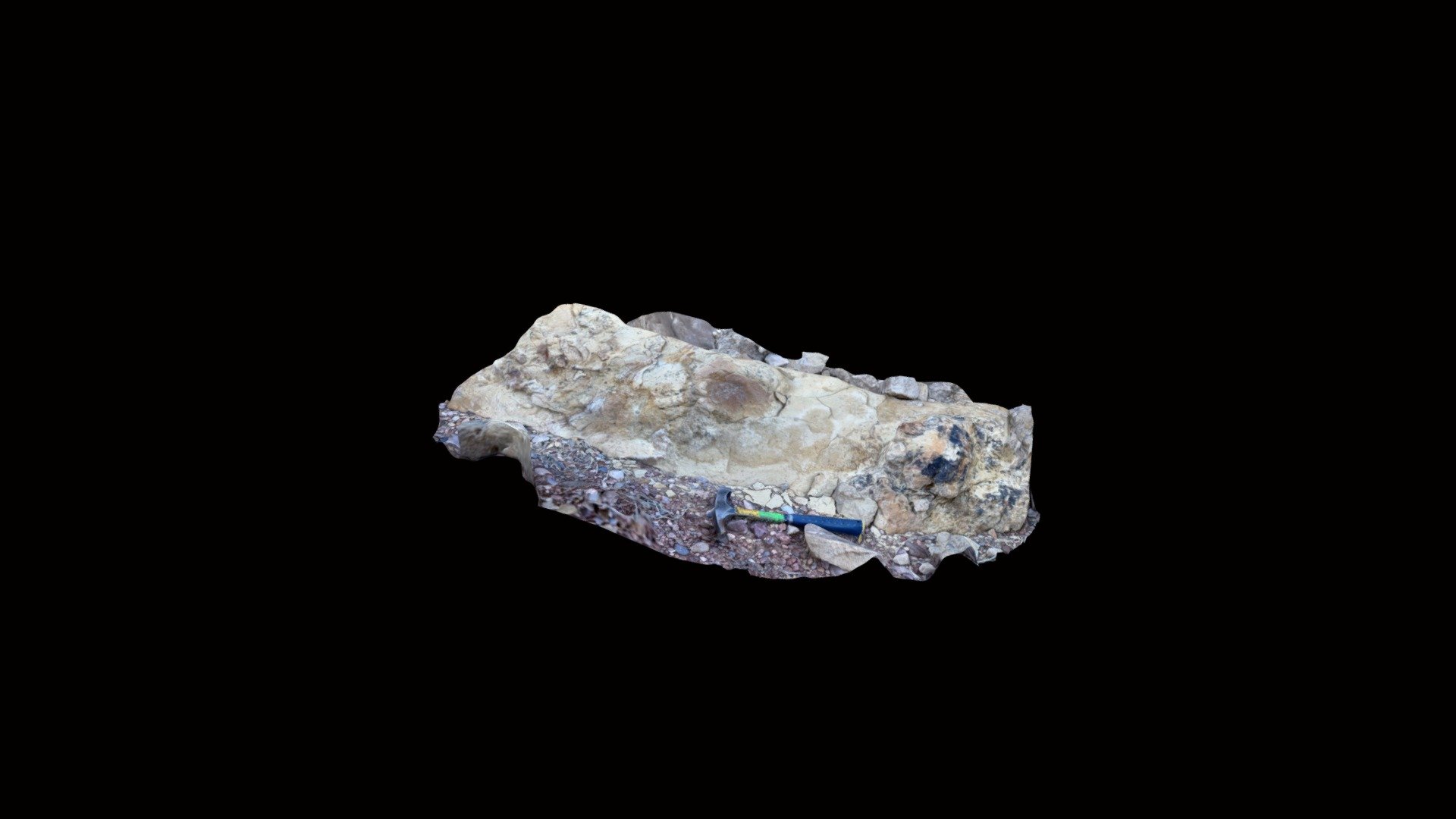Late Cretaceous Vertebrate Tracks