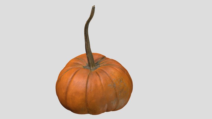 Medium Pumpkin Artec 3D Scan 3D Model
