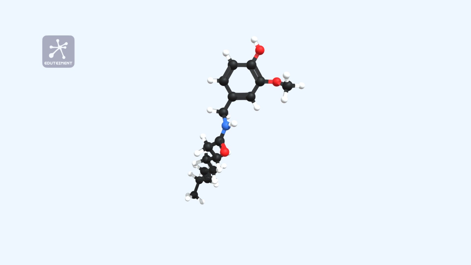 Capsaicina - 3D model by Eduteiment (@camiloislas) [7a8495e] - Sketchfab
