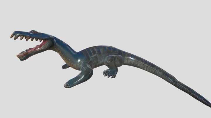 Nothosaurus 3D models - Sketchfab
