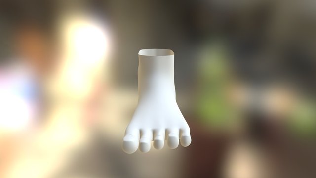 Feet Modeling 3D Model