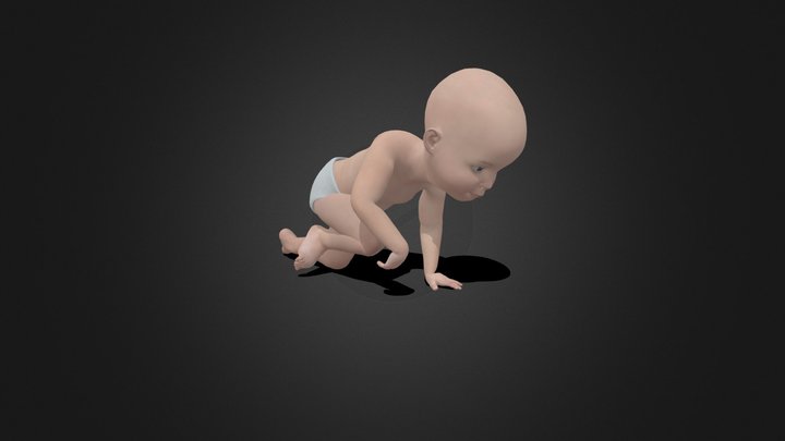 Baby crawling animation 3D Model
