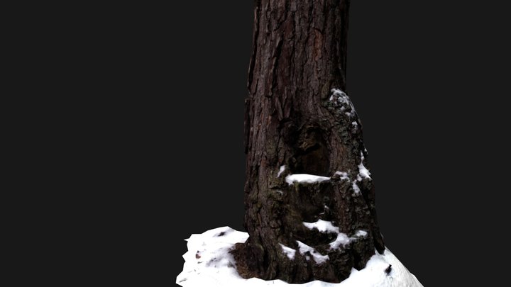 Tree_03 3D Model