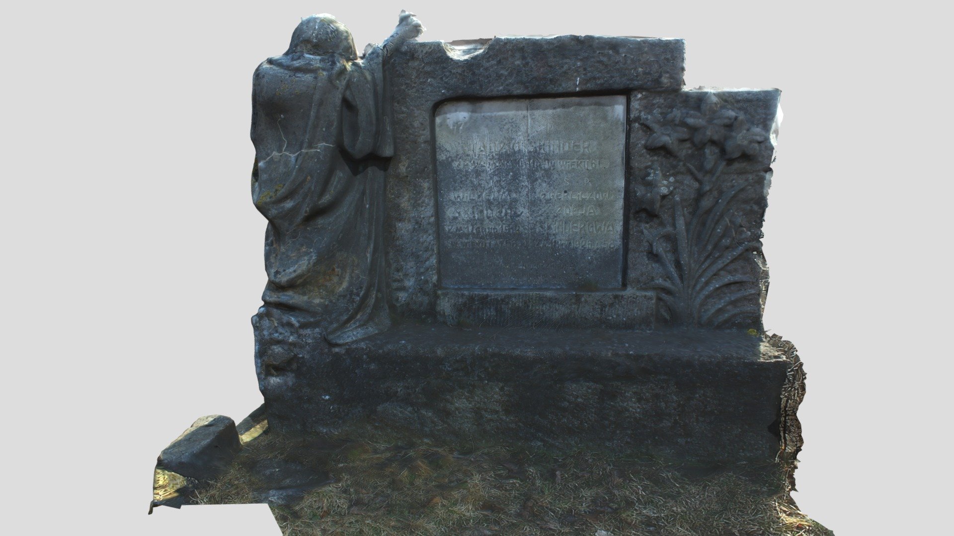Rasų kapinės - Tadeusz Skinder