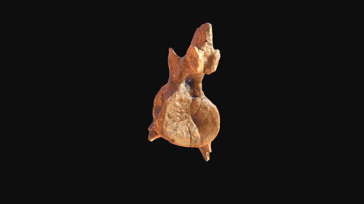 Vertèbre cervicale Plésiosaure 3D Model