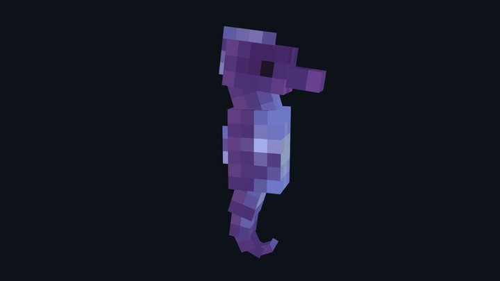 Sea Horse 3D Model