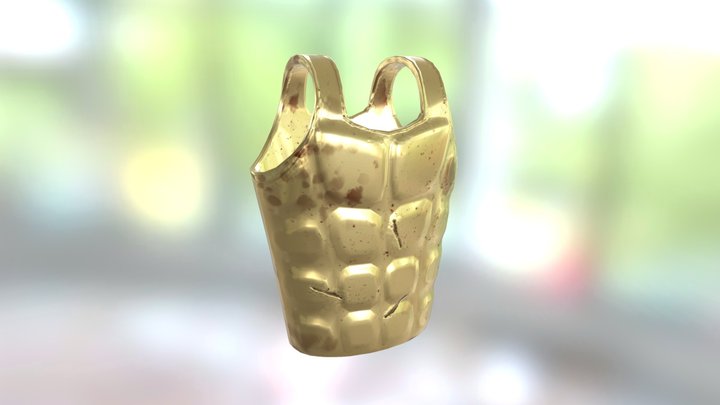 Body Armour 3D Model