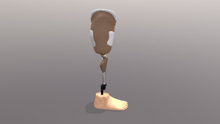 Ortotyka TF ready 3D Model