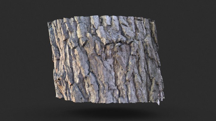 Pine Bark [Smartphone Video Test] – Modelo 3D gratuito STL