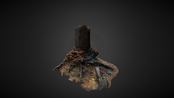 TreePhotoscan 3D Model