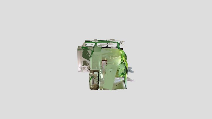 Polycam capture 3D Model