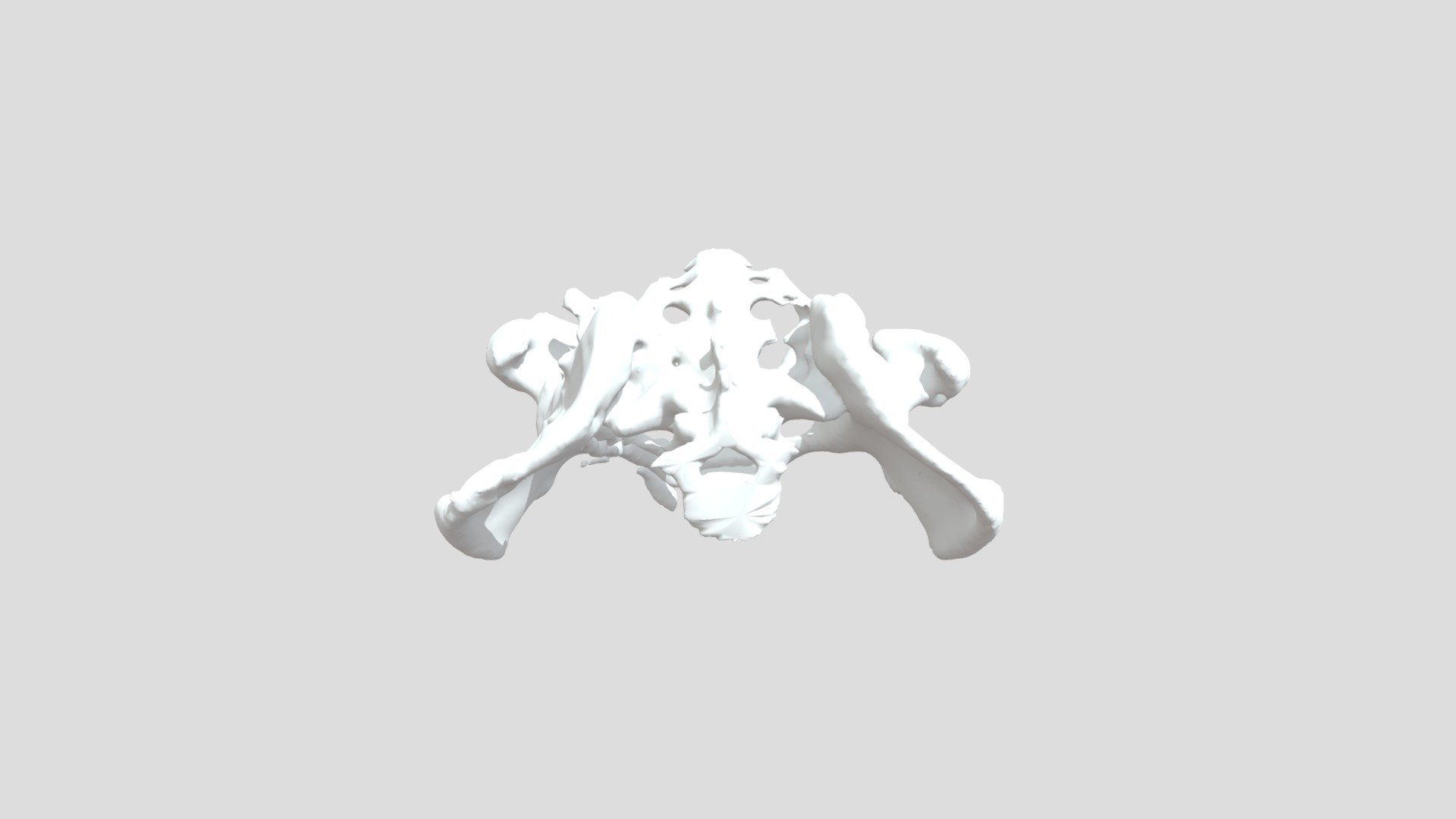 Pelvis Segmentation Download Free 3d Model By Goodrumj [7a952a8