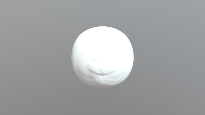 My model 3D Model