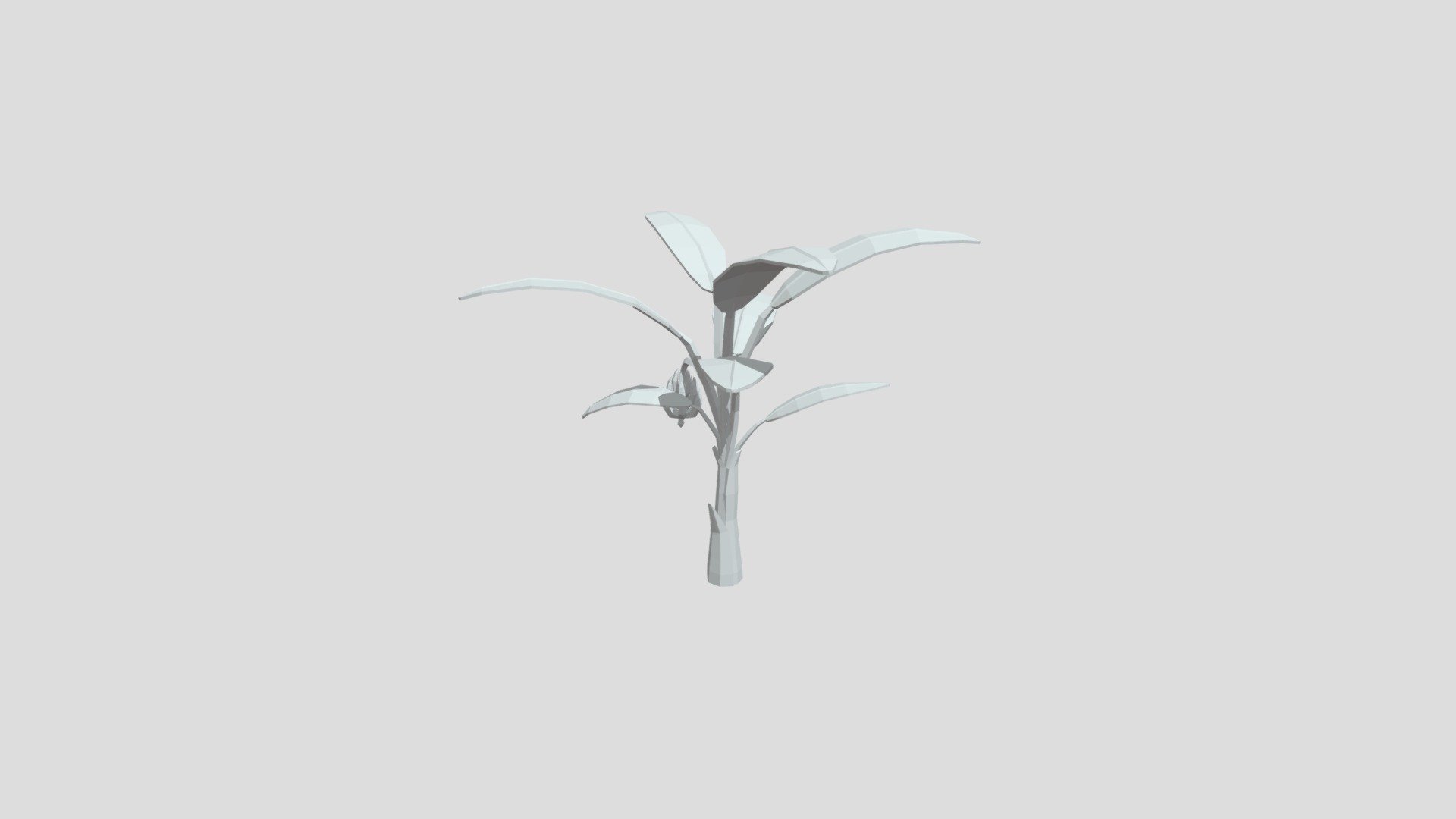 Banana Tree from Poly by Google