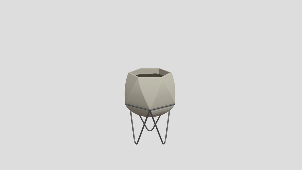 Faceted Modern Plant