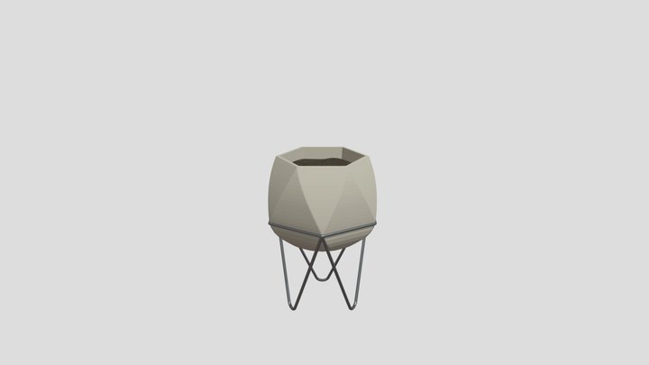 Faceted Modern Plant