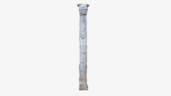 Tempio di Adriano - colonna 7 3D Model