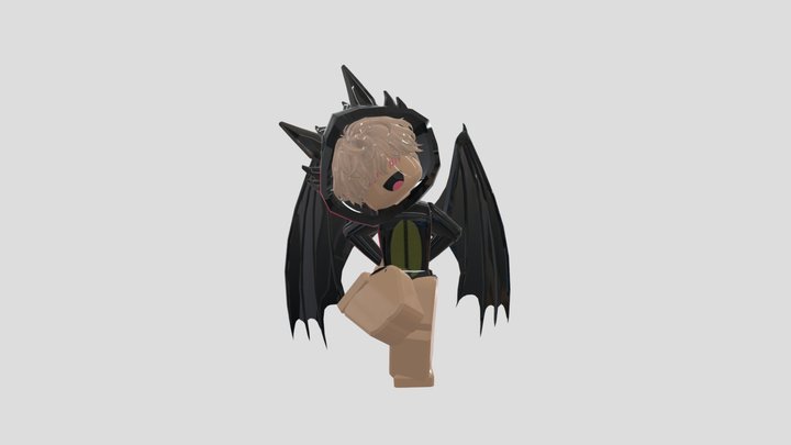 Tomas111611 3D Model