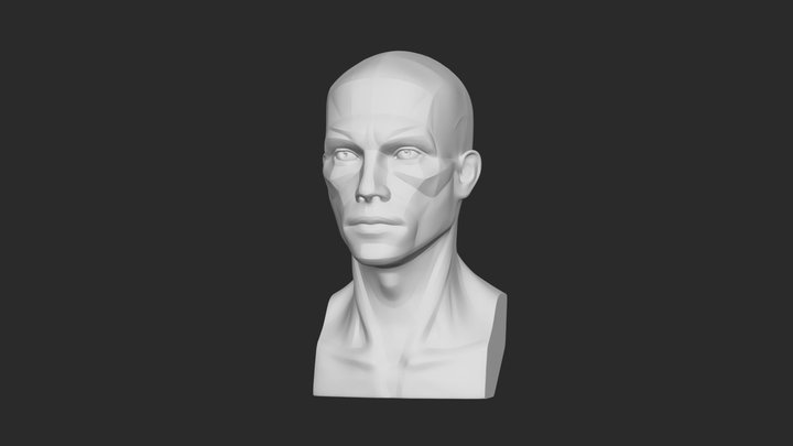 head planes 3D Model