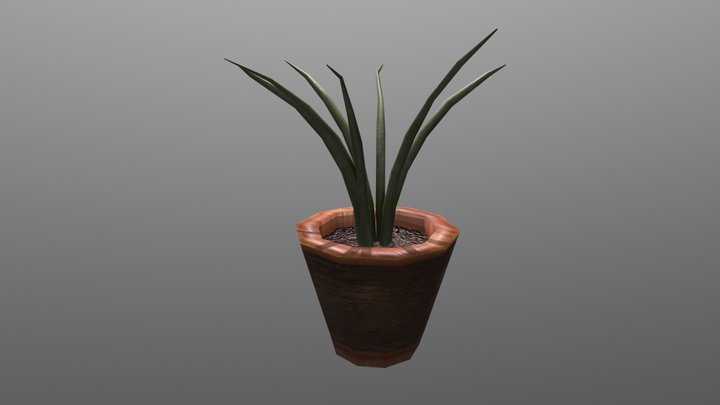 Plantas 3D Model