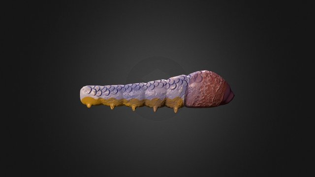 Bug 3D Model