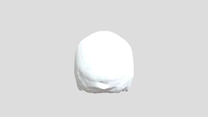 A Bob model 3D Model