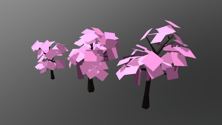 Cherry blossom example 3D Model