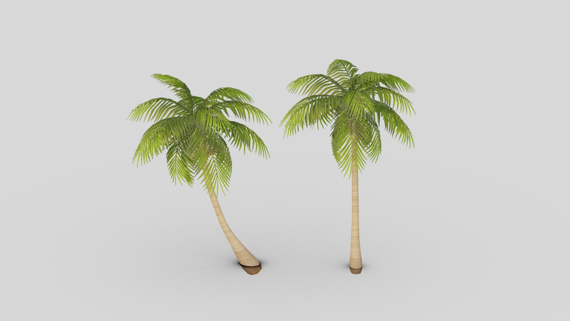 3D model Coconut Tree LOD Low-poly G11 - This is a 3D model of the Coconut Tree LOD Low-poly G11. The 3D model is about two palm trees with leaves.