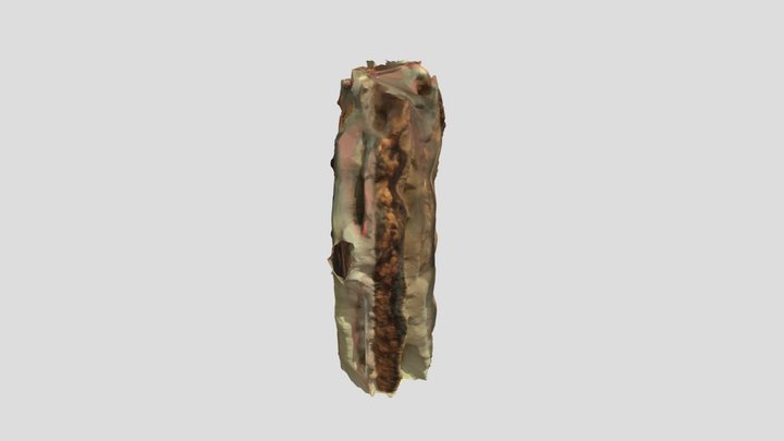 A46 aortic dissection 3D Model