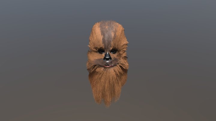Chewbacca test 3D Model