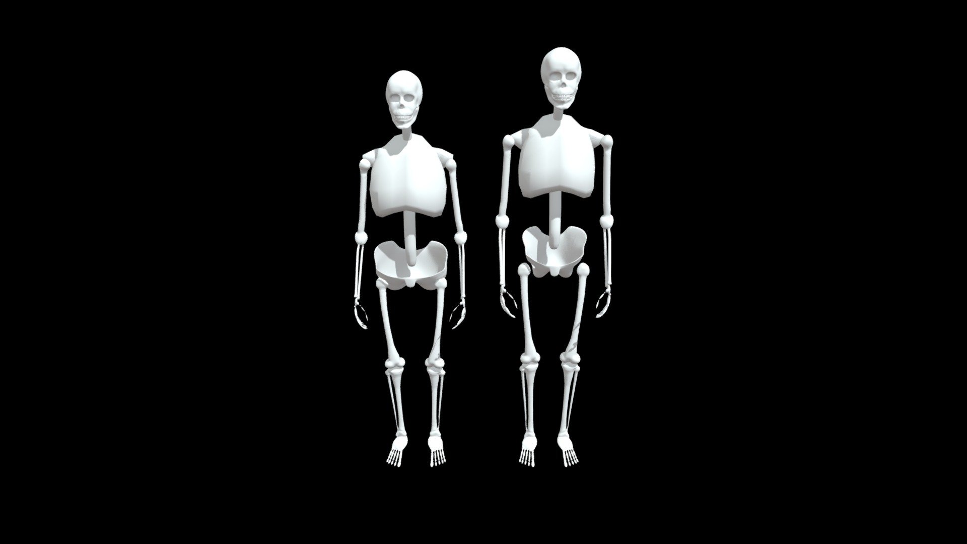 Male and Female Skeletons Study