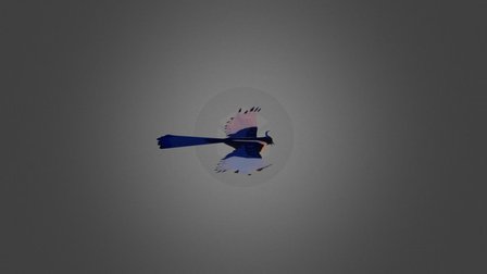 Copoka Bird - Flying 3D Model