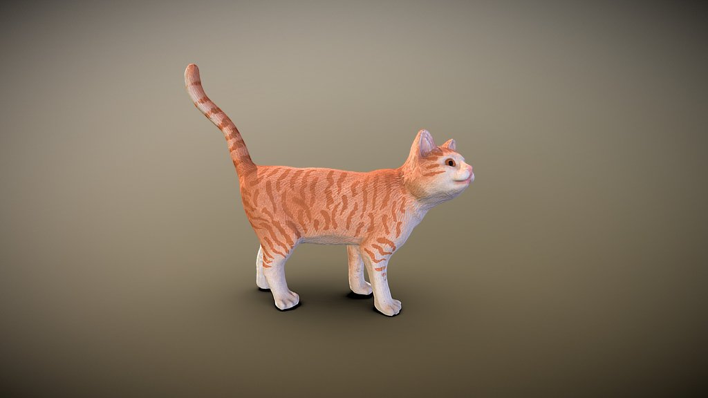 Miniature cat