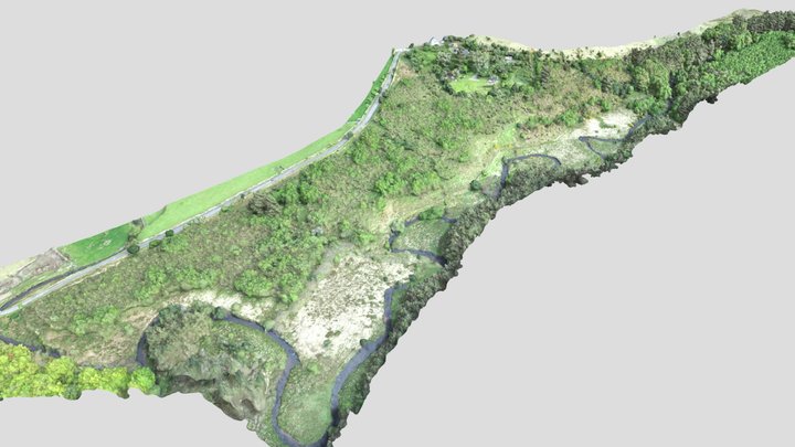 Forestry_simplified_3d_mesh 3D Model